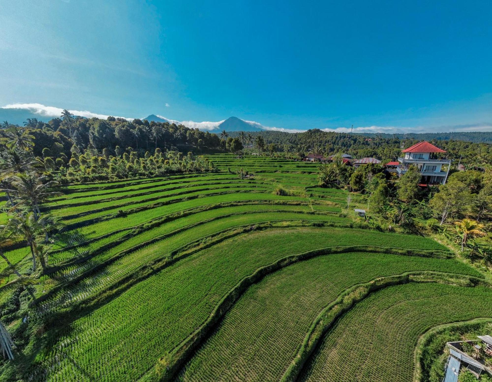 Candra Cottage Munduk Exterior foto